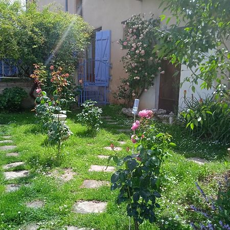 Studio La Roseraie Avec Jardin Privatif Proche Centre Ville Moissac Εξωτερικό φωτογραφία